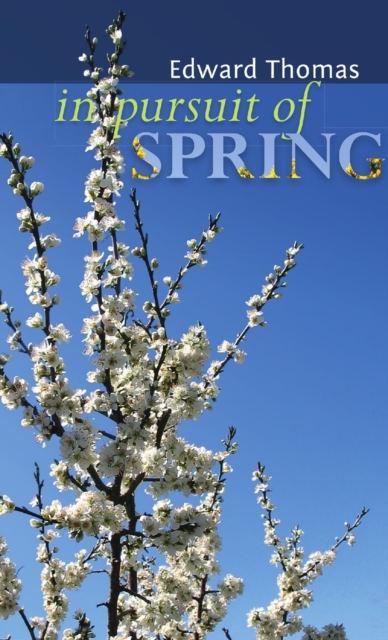 In Pursuit of Spring