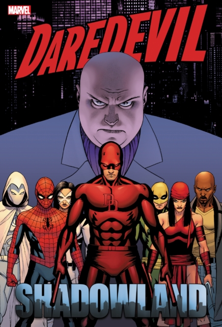 Daredevil: Shadowland Omnibus Cassaday Cover (new Printing)