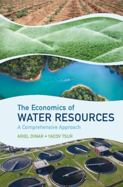 Economics of Water Resources