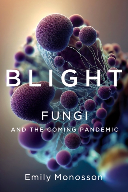 Blight