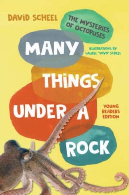 Many Things Under a Rock Young Readers Edition - The Mysteries of Octopuses