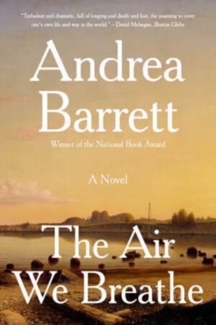 Air We Breathe - A Novel