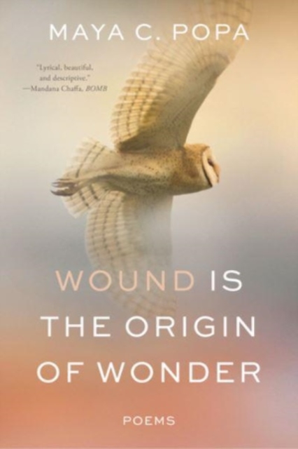 Wound Is the Origin of Wonder - Poems