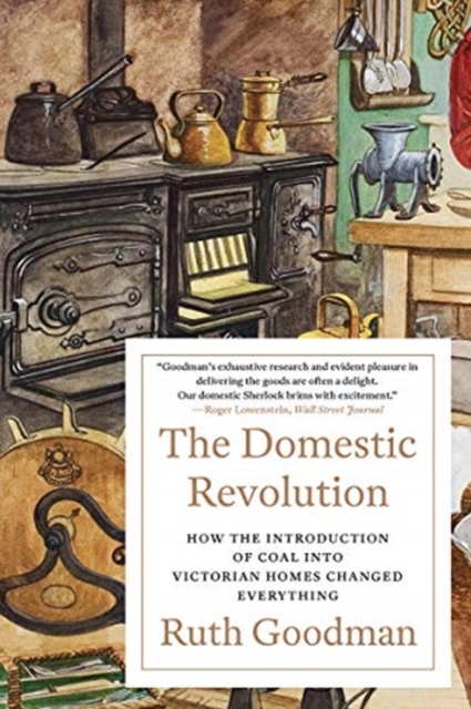 Domestic Revolution - How the Introduction of Coal into Victorian Homes Changed Everything