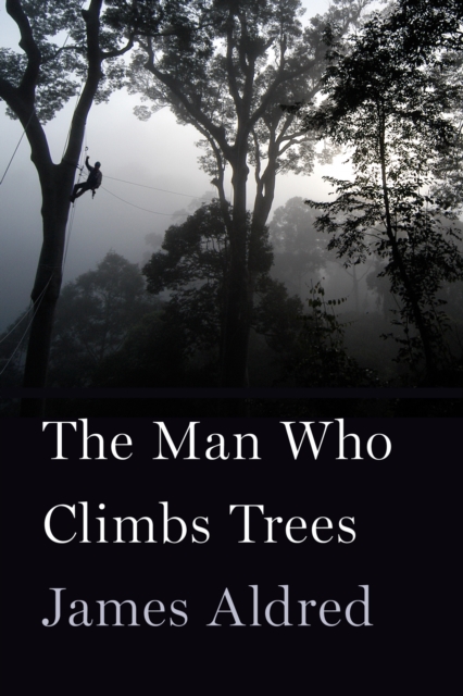Man Who Climbs Trees