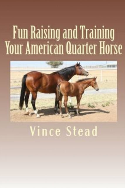 Fun Raising and Training Your American Quarter Horse