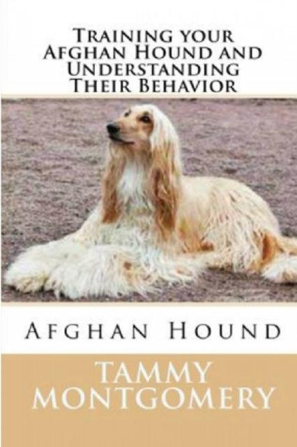Training Your Afghan Hound and Understanding Their Behavior