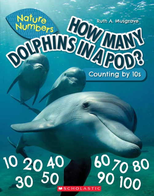 How Many Dolphins In a Pod (Nature Numbers)