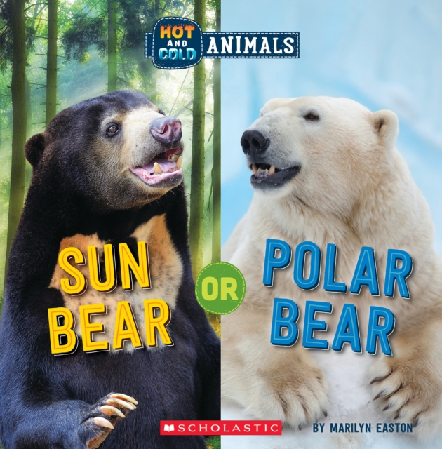 Sun Bear or Polar Bear (Hot and Cold Animals)
