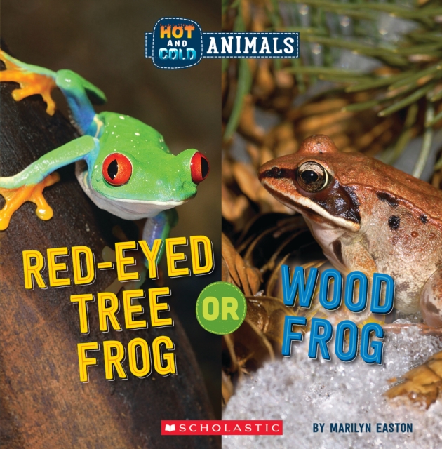 Red-Eyed Tree Frog or Wood Frog (Hot and Cold Animals)