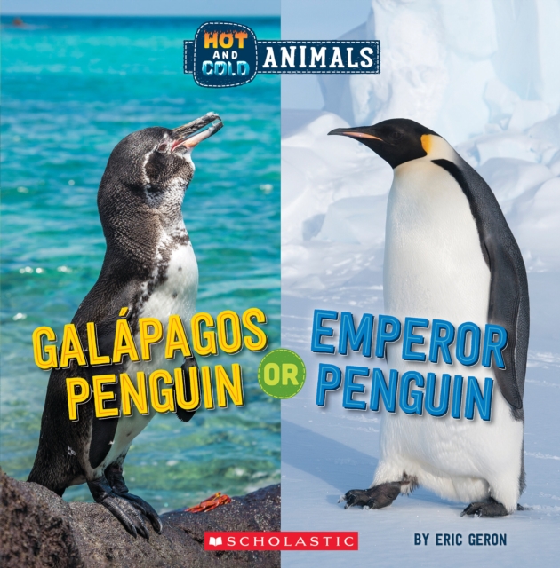 Galapagos Penguin or Emperor Penguin (Hot and Cold Animals)