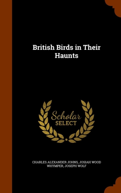 British Birds in Their Haunts