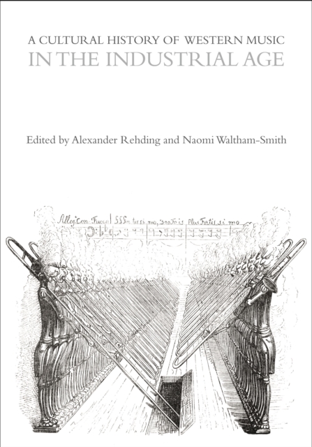 A Cultural History of Western Music in the Industrial Age