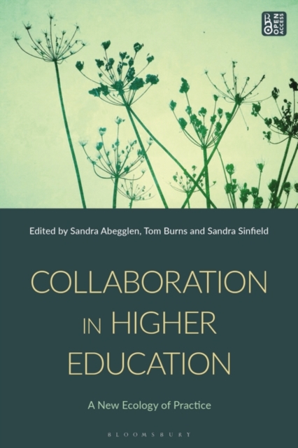 Collaboration in Higher Education