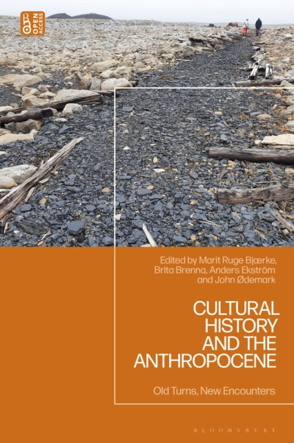 Cultural History and the Anthropocene