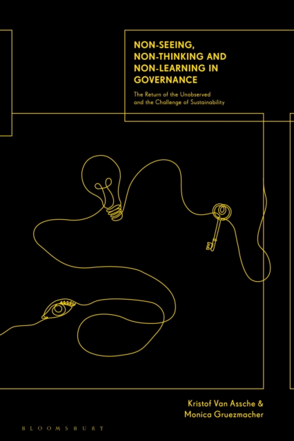 Non-seeing, Non-thinking and Non-learning in Governance