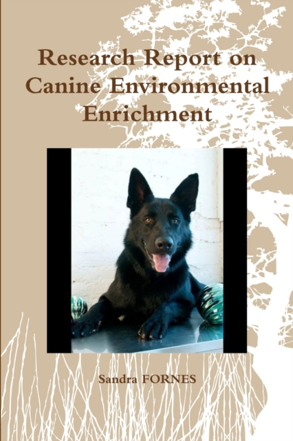 Research Report on Canine Environmental Enrichment