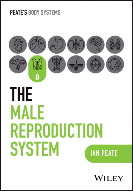 Male Reproductive System