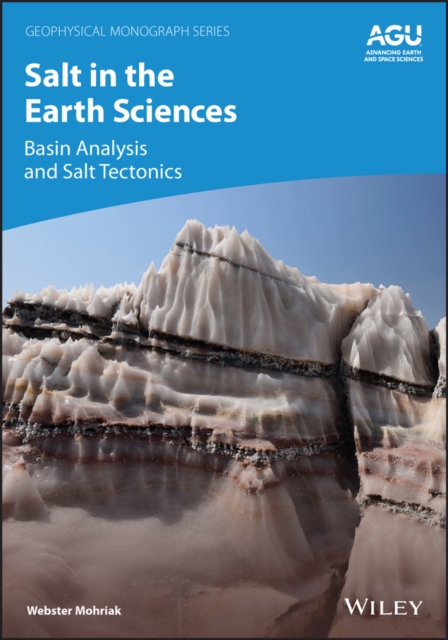 Salt in the Earth Sciences