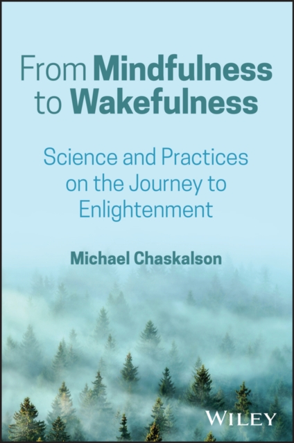 From Mindfulness to Wakefulness