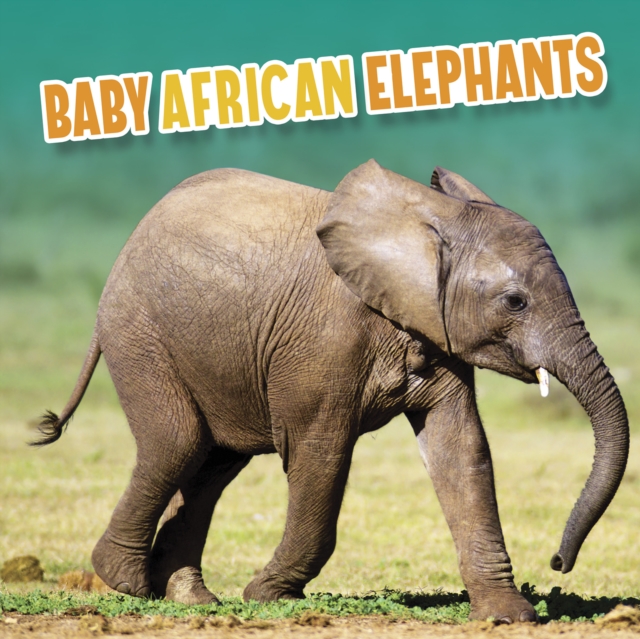 Baby African Elephants