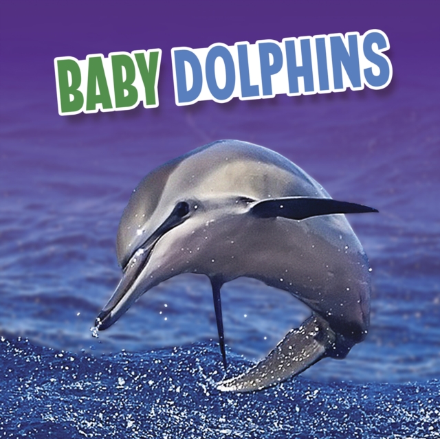 Baby Dolphins