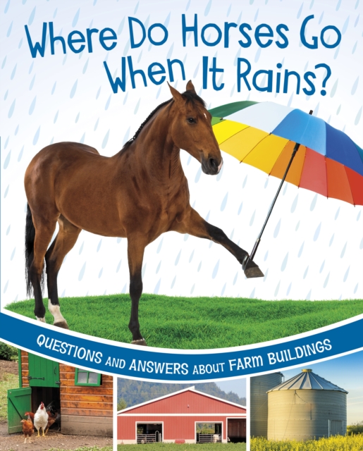 Where Do Horses Go When It Rains?