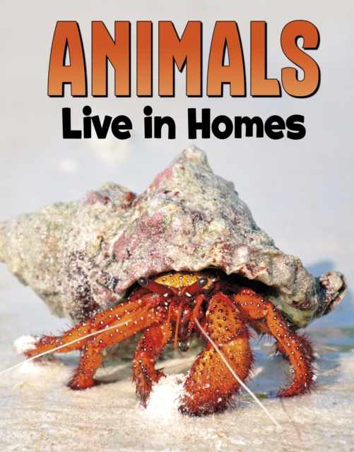 Animals Live in Homes