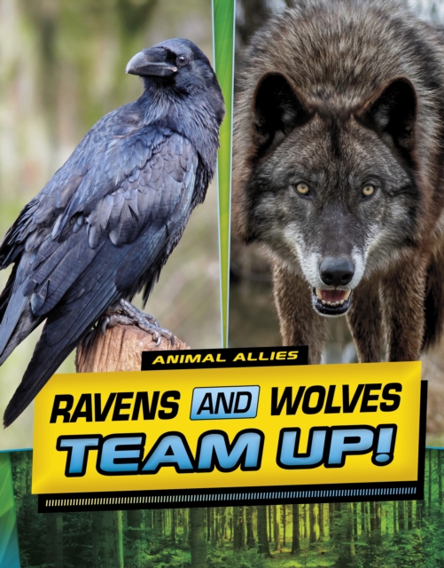 Ravens and Wolves Team Up!