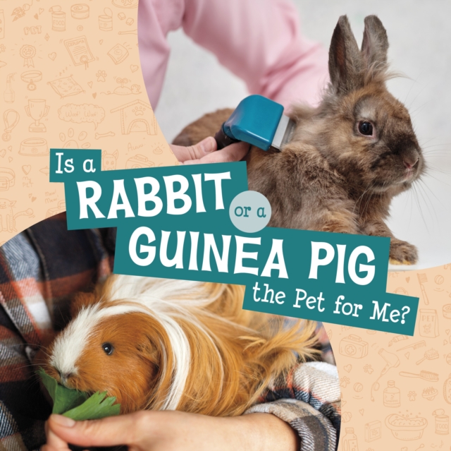 Is a Rabbit or a Guinea Pig the Pet for Me?