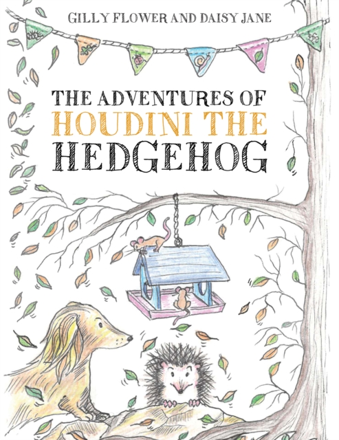 Adventures of Houdini the Hedgehog