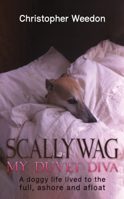 Scallywag - My Duvet Diva