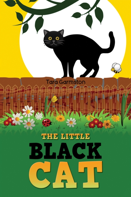 Little Black Cat