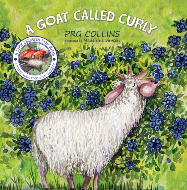 Goat Called Curly