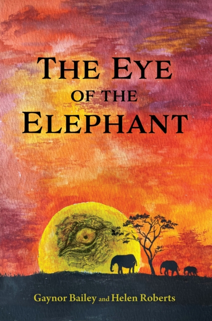 Eye of the Elephant