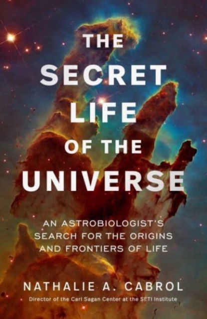 Secret Life of the Universe