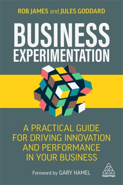 Business Experimentation