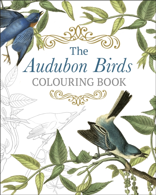 Audubon Birds Colouring Book