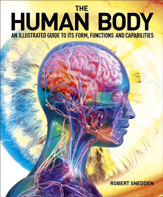 Human Body