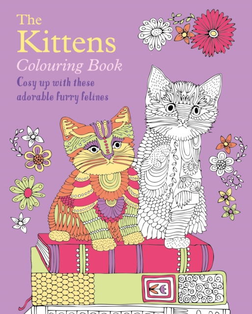 Kittens Colouring Book