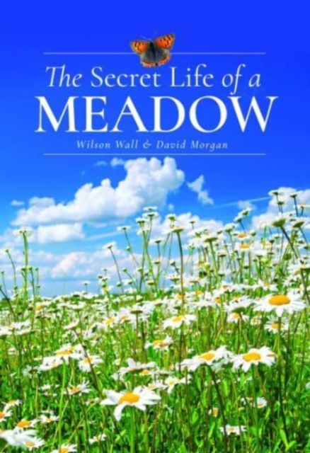 Secret Life of a Meadow