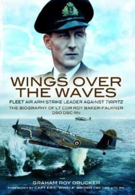 Wings Over the Waves