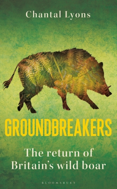 Groundbreakers