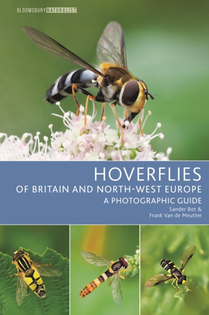 Hoverflies of Britain and North-west Europe
