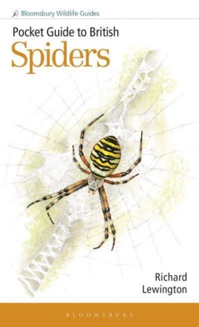 Pocket Guide to British Spiders