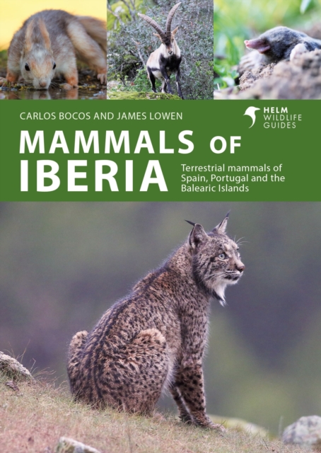 Mammals of Iberia