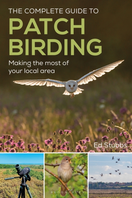 The Complete Guide to Patch Birding