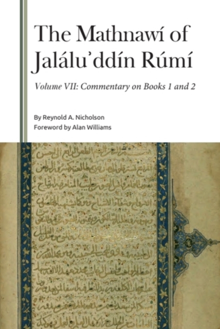 The Mathnawi of Jalalu?ddin Rumi, Volume VII