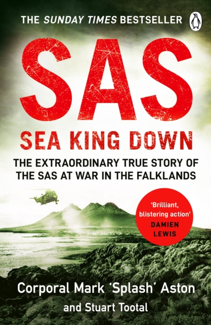SAS: Sea King Down