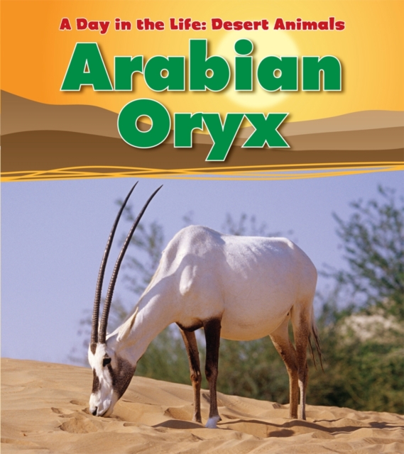 Arabian Oryx